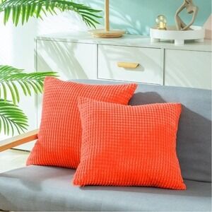 CaliTime Pack of 2 Comfy Throw Pillow Covers Sz 20x20